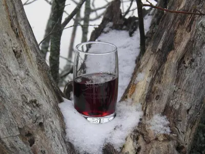 Ferienweingut- Schäfer im Winter