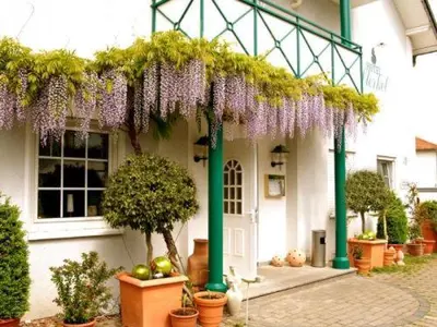 Ein Garten an der Unterkunft Hotel Sterkel