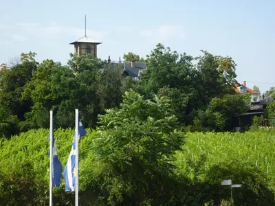 Ein Garten an der Unterkunft Gästehaus Deidesheim