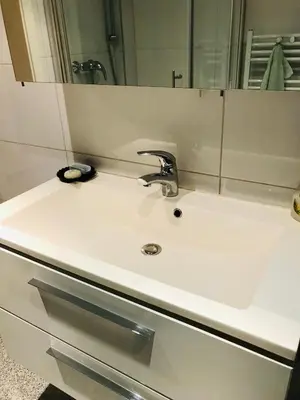 Ein Badezimmer in der Unterkunft Idyllische und ruhig gelegene 1ZKB Wohnung in Ludwigshafen am Rhein
