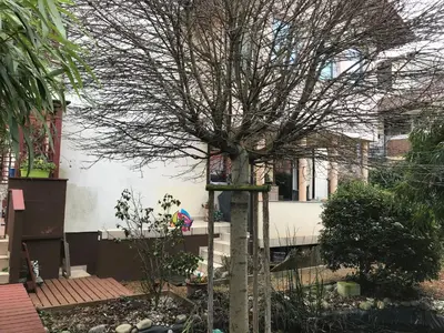 Ein Garten an der Unterkunft Idyllische und ruhig gelegene 1ZKB Wohnung in Ludwigshafen am Rhein