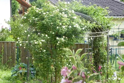 Ein Garten an der Unterkunft Enzkreisspitze Garten