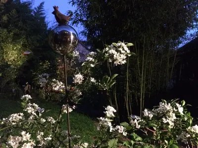 Ein Garten an der Unterkunft Pantone Ultra