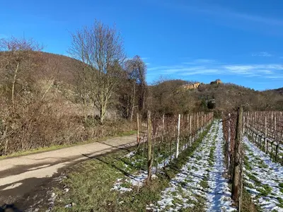 Naturlandschaft in der Nähe der Ferienwohnung