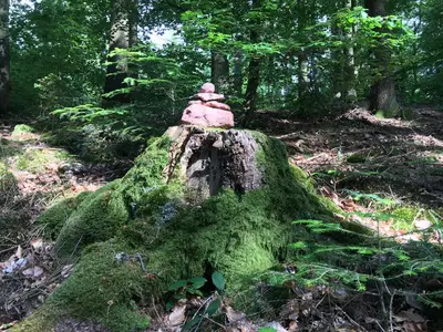 Naturlandschaft in der Nähe der Ferienwohnung