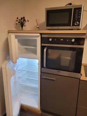 Küche/Küchenzeile in der Unterkunft Ferienwohnung Wolfsberg