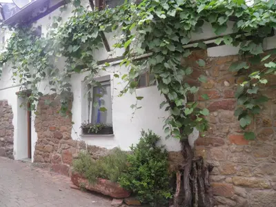 Ein Garten an der Unterkunft Ferienweingut Schäfer