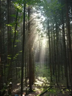 Naturlandschaft in der Nähe der Ferienwohnung