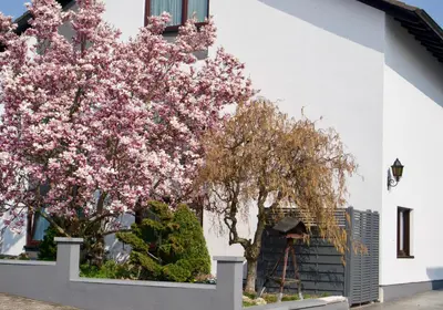 Ein Garten an der Unterkunft Ferienwohnung Charlotte