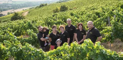 Gäste, die in der Unterkunft Weinschlößchen im Weingut Roos übernachten