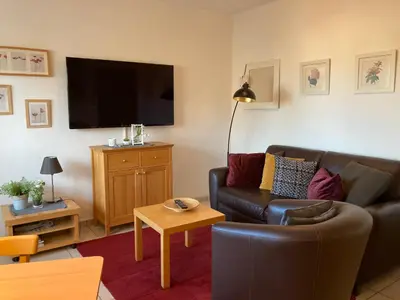 TV/Unterhaltungsangebot in der Unterkunft Landhaus-Apartments