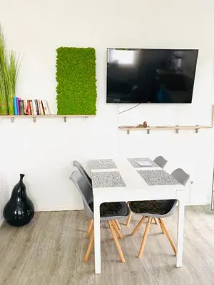 TV/Unterhaltungsangebot in der Unterkunft Larimar Apartment Kirchheim am Neckar