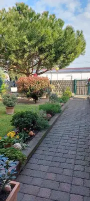 Ein Garten an der Unterkunft Ferienwohnung Zum Weinberg bis 4 Personen - Im Herzen der Pfalz
