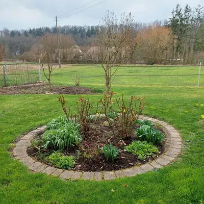 Ein Garten an der Unterkunft Ottilienhof