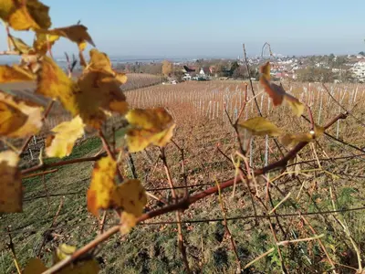 Grundriss der Unterkunft Marbacher Hof 1