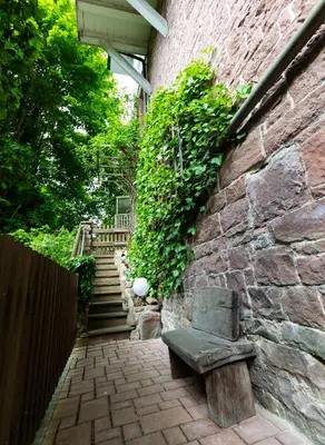 Ein Garten an der Unterkunft Villa Sophie