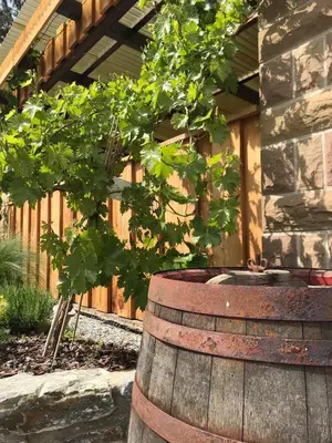 Ein Garten an der Unterkunft Heimatlodge