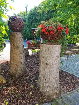 Ein Garten an der Unterkunft Hotel Landgasthof Fromm