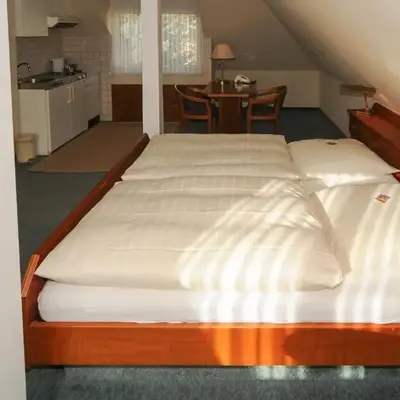 Alfa Apartment Hotel