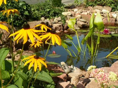 Ein Garten an der Unterkunft Pension Haus Erika