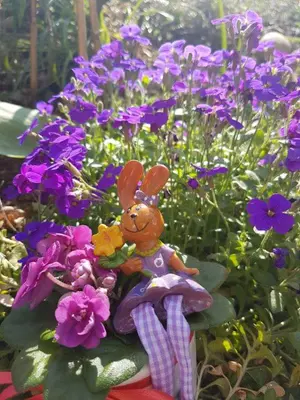 Ein Garten an der Unterkunft An den Kleeäckern 4 Haus mit Herz