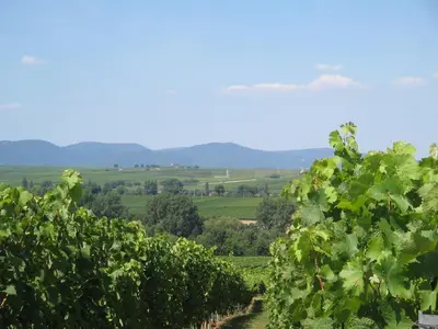 Naturlandschaft in der Nähe der Ferienwohnung