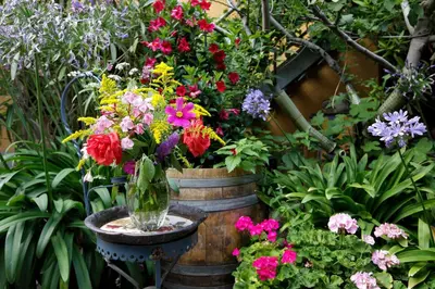 Ein Garten an der Unterkunft Gästehaus Susanne Pfaffmann