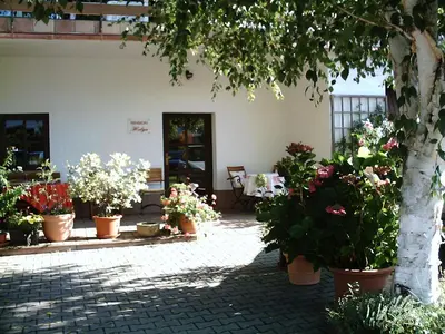 Ein Garten an der Unterkunft pension Helga
