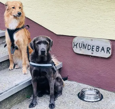 Haustiere von Gästen der Unterkunft Hotel Waldesruh