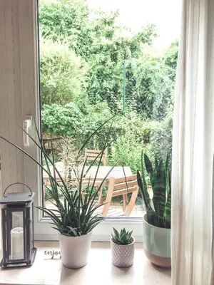 Ein Garten an der Unterkunft Wohlfühl-Apartment Sinsheim, Nähe Therme und Museum