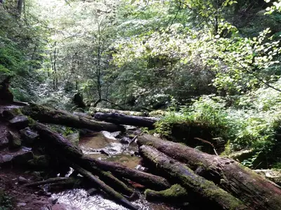 Naturlandschaft in der Nähe des Resorts