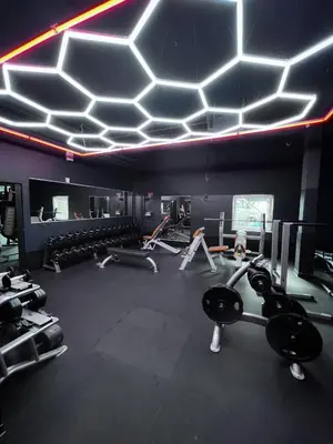 Das Fitnesscenter und/oder die Fitnesseinrichtungen in der Unterkunft Wilhelm Appartements 100 qm Komfort und Fitness im Zentrum Brackenheim nähe Tripsdrill