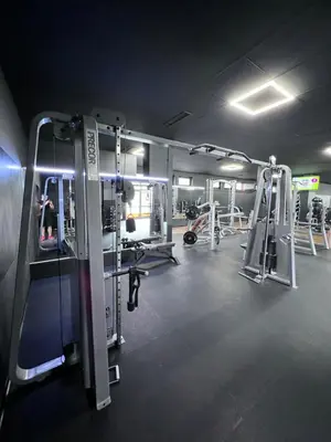 Das Fitnesscenter und/oder die Fitnesseinrichtungen in der Unterkunft Wilhelm Appartements 100 qm Komfort und Fitness im Zentrum Brackenheim nähe Tripsdrill