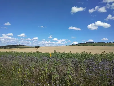 Naturlandschaft in der Nähe der Ferienwohnung