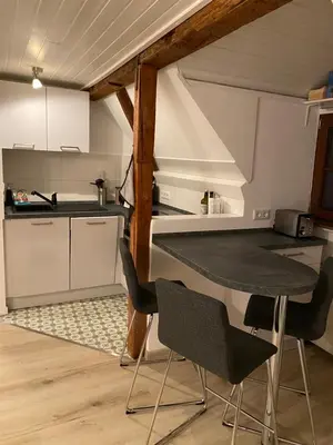 Küche/Küchenzeile in der Unterkunft Großherzögliches Jägerhaus