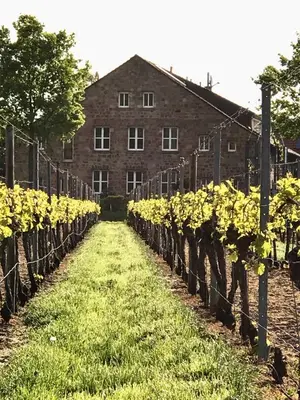 Ein Garten an der Unterkunft Gästehaus & Café Leeze