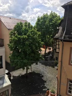 Ein Garten an der Unterkunft 3 Apartments Am Wambolter Hof 3