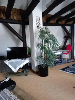 TV/Unterhaltungsangebot in der Unterkunft Loft Ziegelei