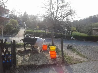 Tiere in diesem Bauernhof oder in der Nähe