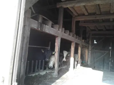 Grundriss der Unterkunft Kreuzdellenhof - Ferienwohnung