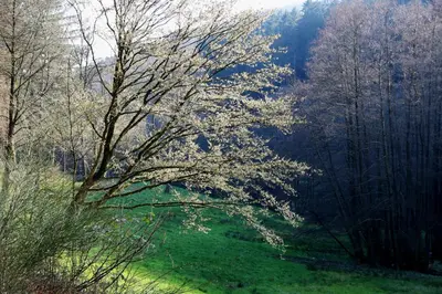 Naturlandschaft in der Nähe der Ferienwohnung