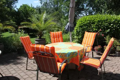 Ein Garten an der Unterkunft FeWo - Wohlfühlambiente & Gartenparadies