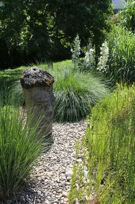 Ein Garten an der Unterkunft FeWo - Wohlfühlambiente & Gartenparadies