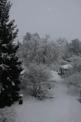 FeWo - Wohlfühlambiente & Gartenparadies im Winter