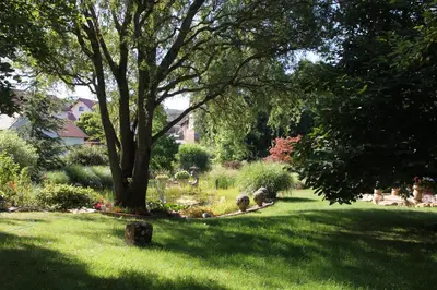 Ein Garten an der Unterkunft FeWo - Wohlfühlambiente & Gartenparadies