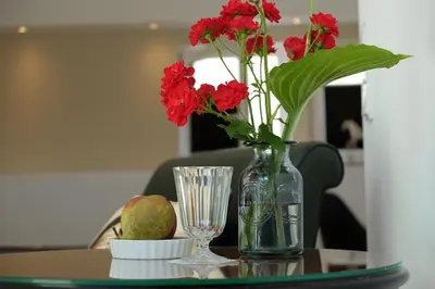 Grundriss der Unterkunft Alte Apotheke - Studio Appartements Karlsbad