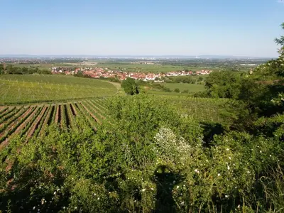Naturlandschaft in der Nähe der Ferienwohnung