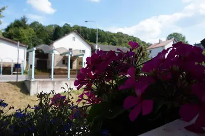 Ein Garten an der Unterkunft Die schönste Unterkunft im Odenwald