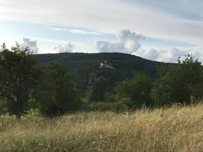 Naturlandschaft in der Nähe der Ferienwohnung