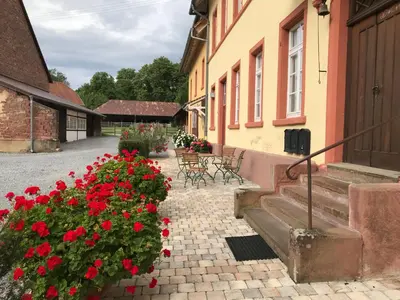Ein Garten an der Unterkunft Elegantes Gästeapartment Verano in Schloß und Hofgut Langenzell